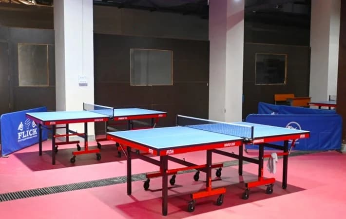 Table Tennis Arena